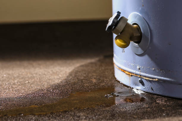 Best Flooded house restoration  in Grissom Af, IN