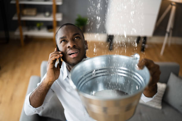 Best Carpet water damage restoration  in Grissom Af, IN