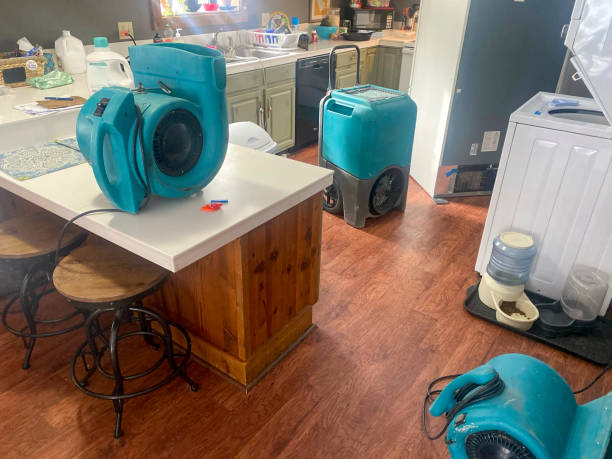 Best Ceiling water damage repair  in Grissom Af, IN