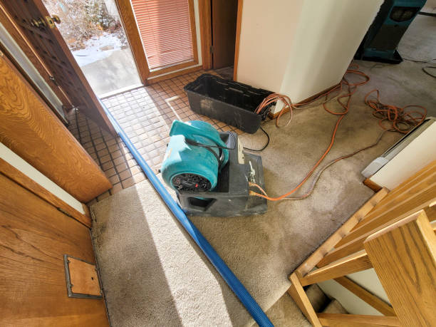 Professional Water damage restoration in IN