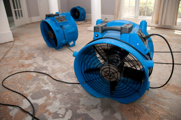Water damage restoration insurance claims in IN