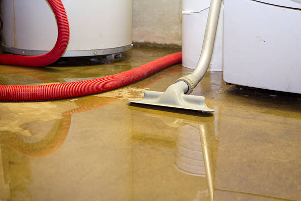 Best Sewage cleanup and water damage restoration  in Grissom Af, IN
