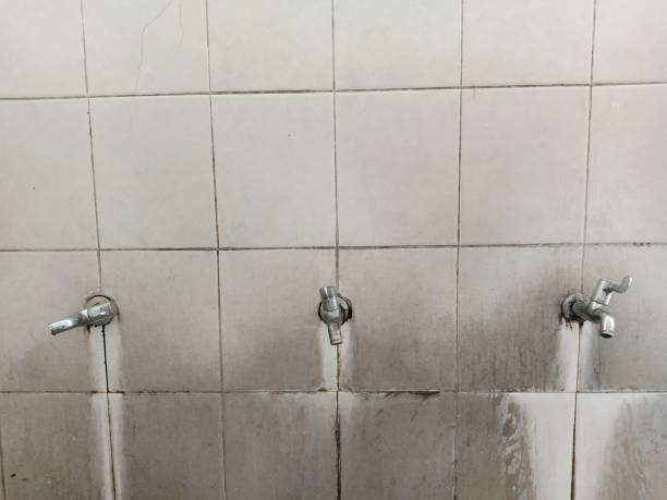 Best Flood restoration services  in Grissom Af, IN
