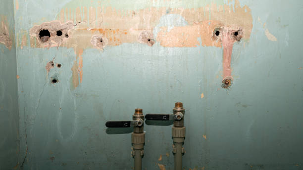 Best Water damage cleanup near me  in Grissom Af, IN