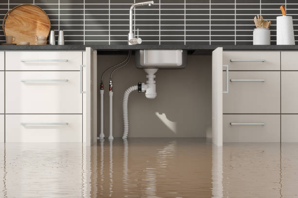 Best Fire Damage Restoration  in Grissom Af, IN