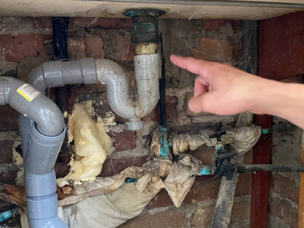 Best Basement water damage restoration  in Grissom Af, IN