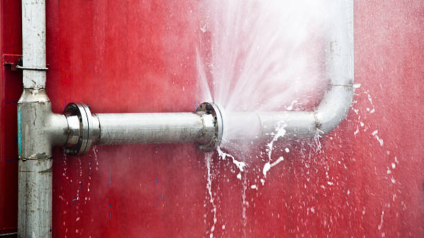 Best Mold removal after water damage  in Grissom Af, IN