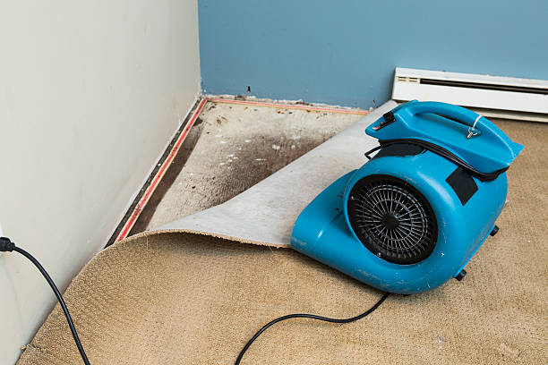 Best Water damage restoration insurance claims  in Grissom Af, IN